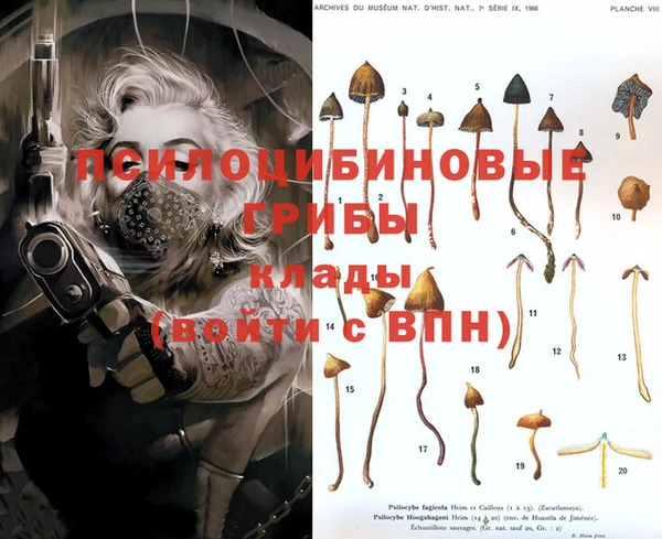 ГАЛЛЮЦИНОГЕННЫЕ ГРИБЫ Балахна