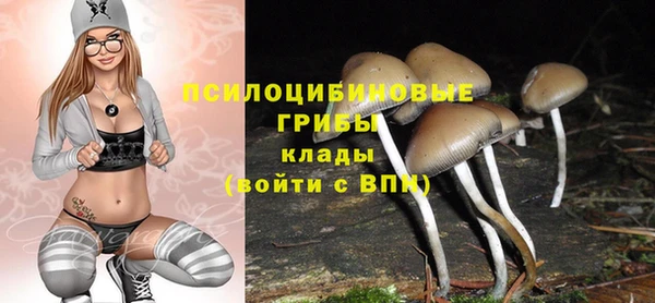 герыч Нязепетровск