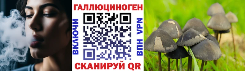 Псилоцибиновые грибы MAGIC MUSHROOMS  купить наркотик  Обоянь 